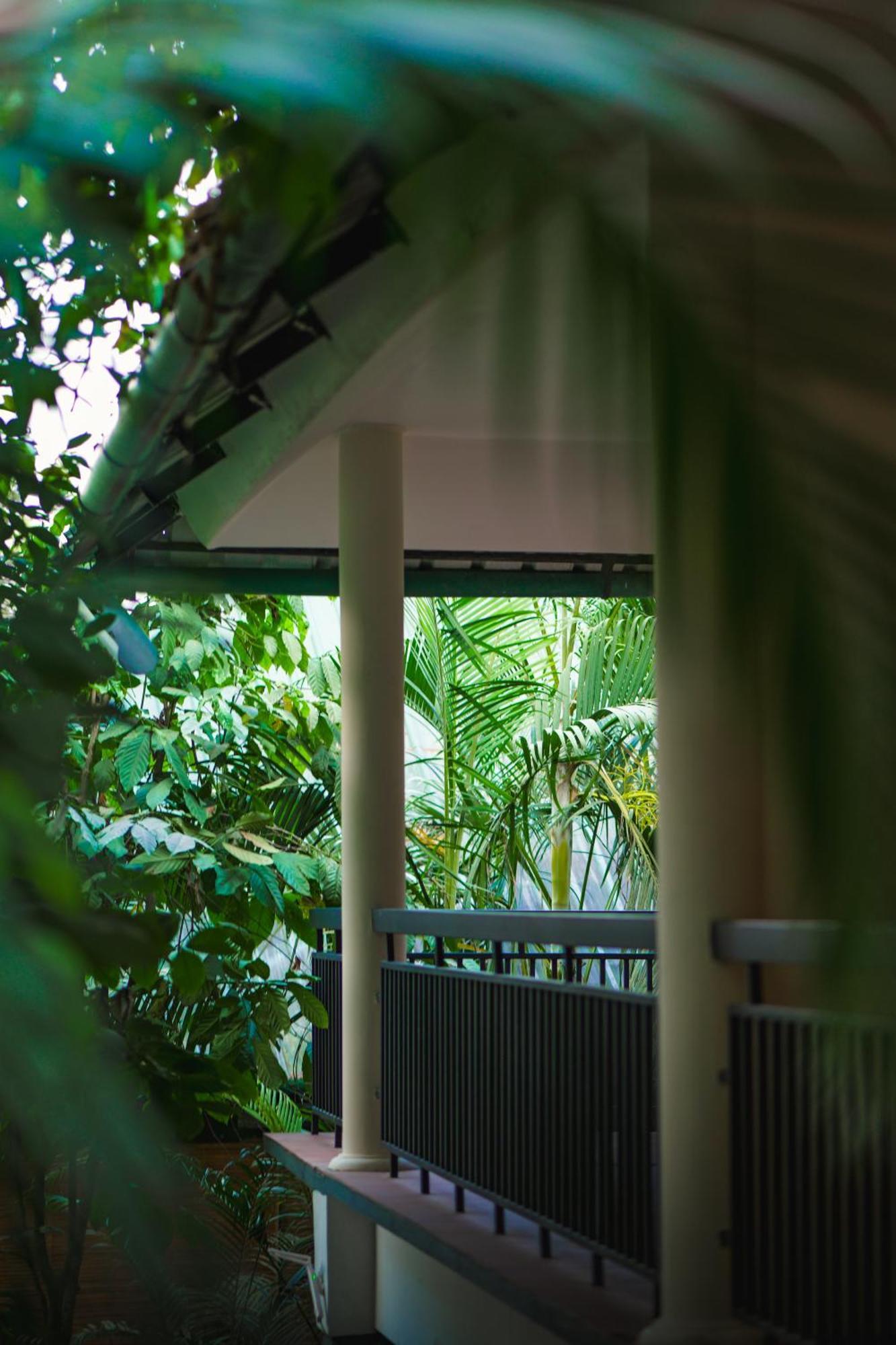 The Hive, Wayanad酒店 外观 照片