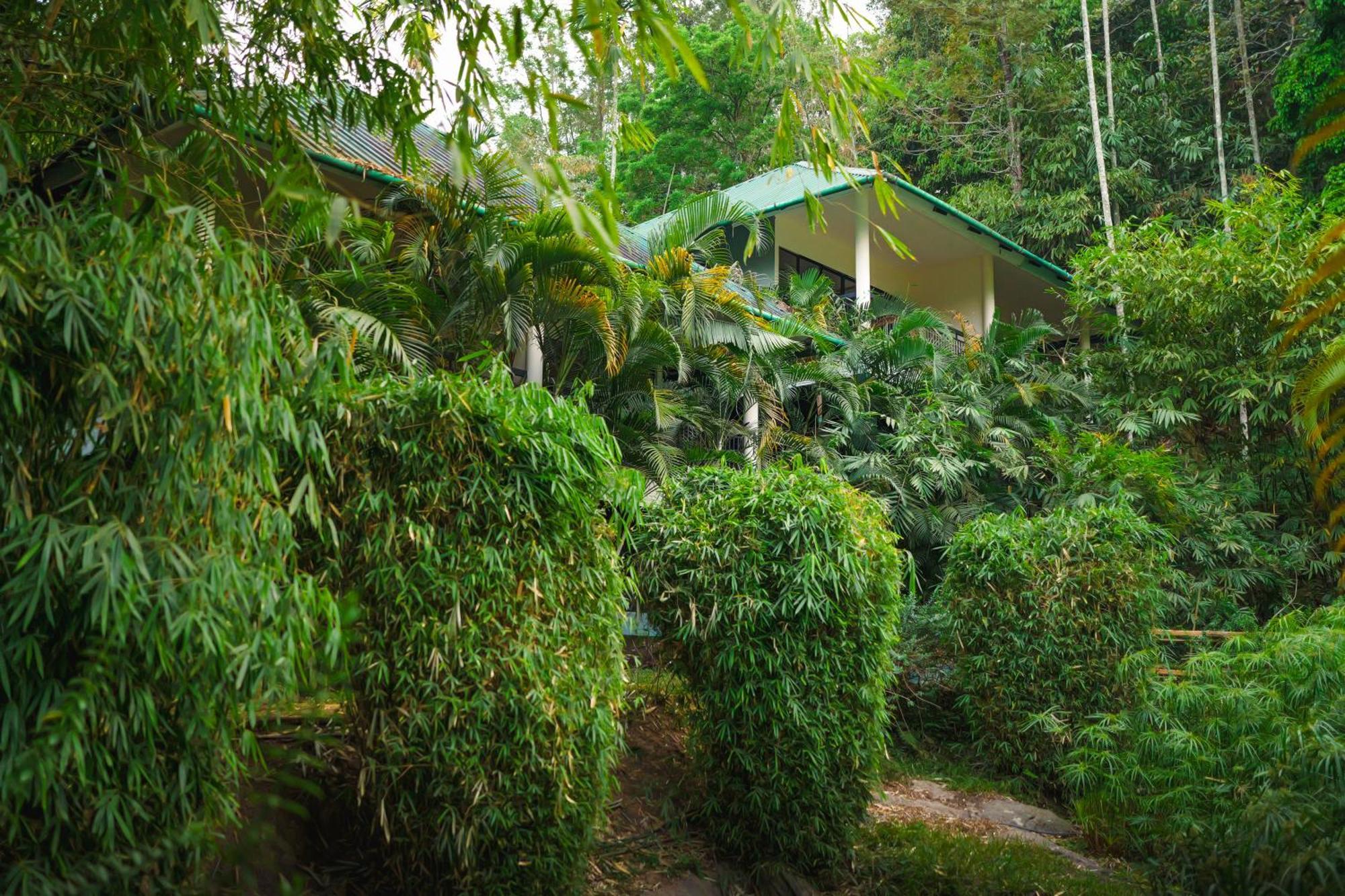 The Hive, Wayanad酒店 外观 照片